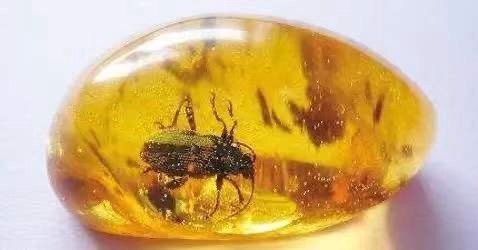 探秘病理科,病理科活检为什么慢