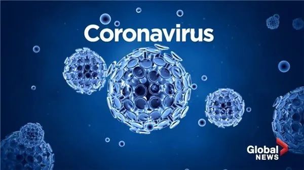 病毒检测图文解说,病毒检测准确率问题