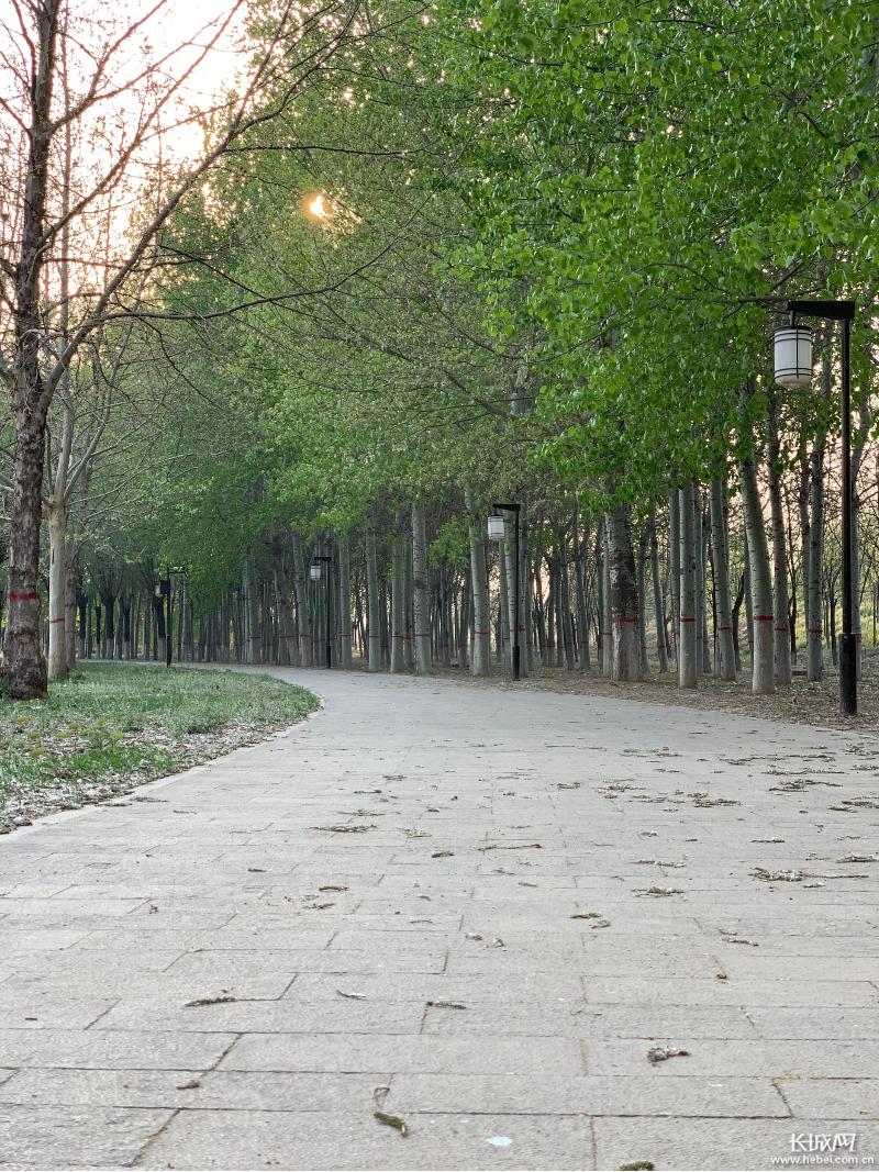 邯郸旅游推荐,邯郸旅游景区推荐