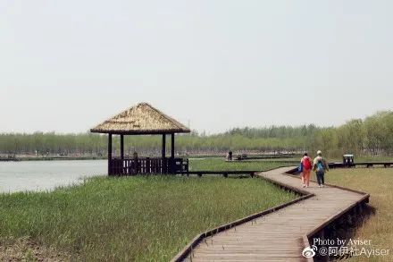 天津小众打卡地,天津五一人少的好玩景点