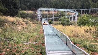 成都一日游打卡必备,成都网红打卡景点一日游