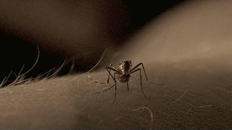 媲美真丝床品的品牌是什么,抑菌美肤床品四件套