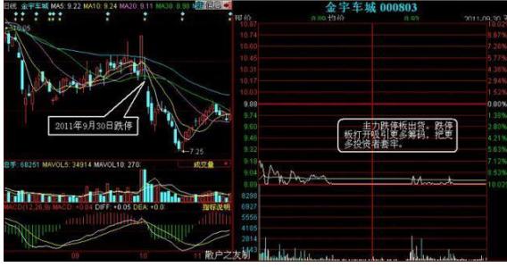 厦大女博士最新消息,厦大女博士讲股票