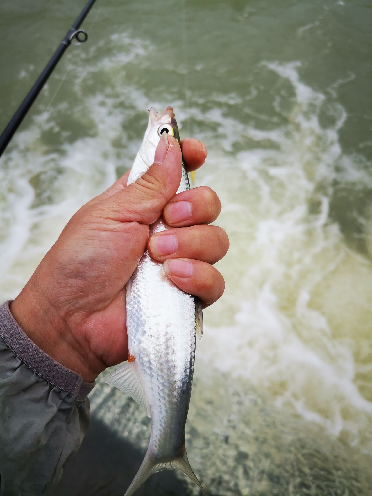 看别人路中大翘嘴，心痒怎么办？拿起鱼竿就是干