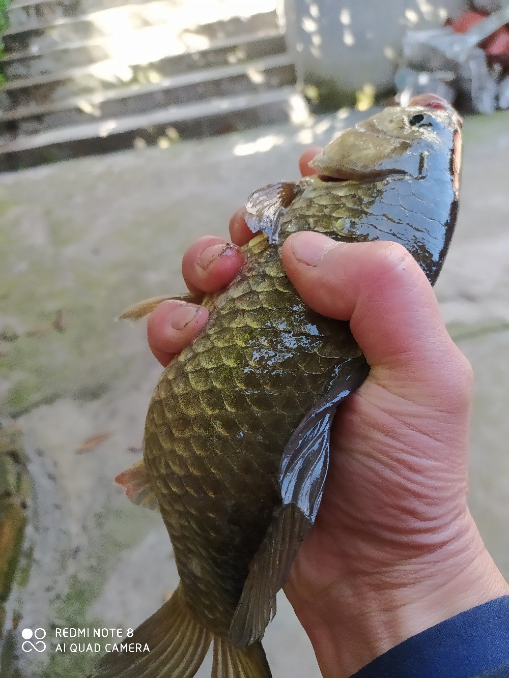 海竿串钩钓大鱼技巧和方法,海竿串钩怎么钓最灵活图解