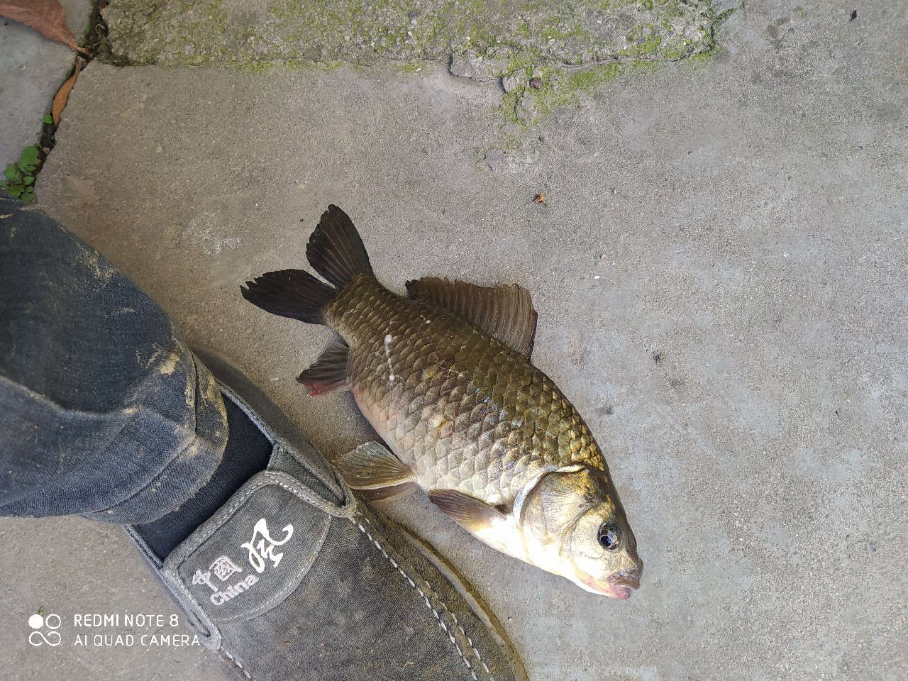 海竿串钩钓大鱼技巧和方法,海竿串钩怎么钓最灵活图解
