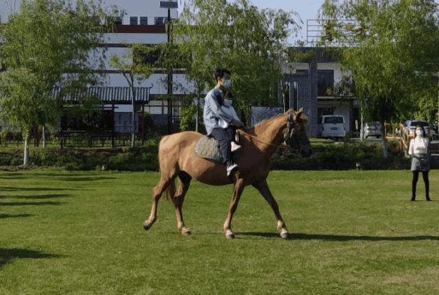 大朋友小朋友,六一去哪嗨?宜昌14家景区特惠福利来袭!