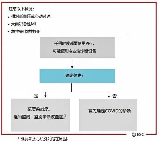 指南与共识丨心脏病学检查这么多，怎么选？ESC疫情期CV防治指南，手把手教您快速辨“真伪”