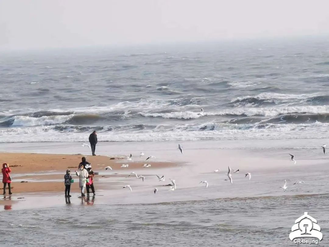 现在去北戴河哪个地方适合看海,北戴河适合看海吗