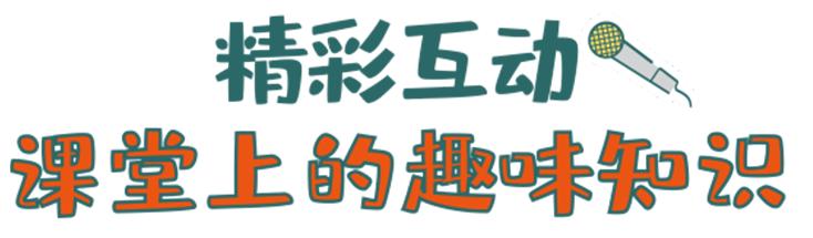 一定要去打卡的网红游乐项目,怎么打造特色游乐网红打卡乐园