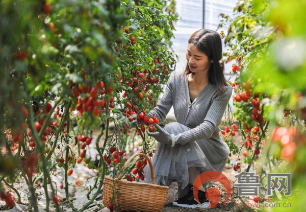 祥和庄园4月29日开园啦!向往的生活从这里开始