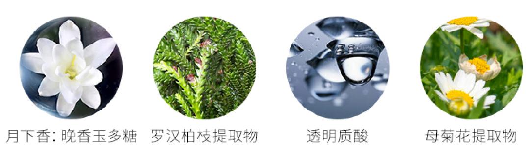 妆前乳推荐干皮不卡粉夏天,网红爆款妆前乳