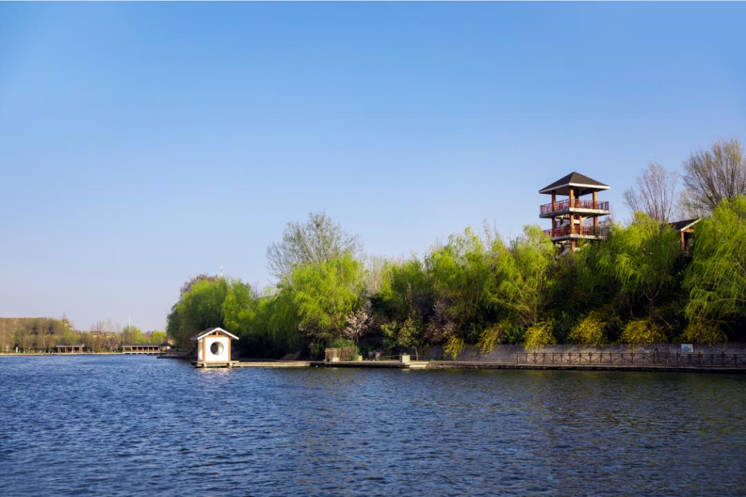 郑州适合周末逛的地方,郑州目前最值得游玩又便宜的地方