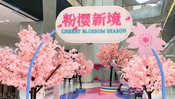 五一打卡超大的油菜花田,五一打卡家门口的花海