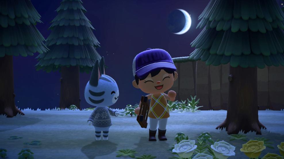 动物森友会玩些什么,动物森友会能2人用一个switch玩么