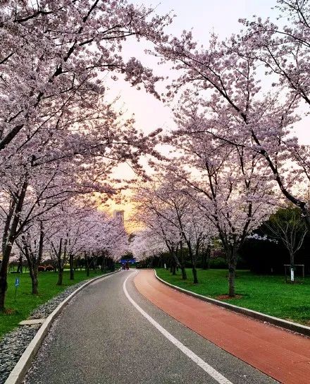 健身走起元气满满,健身走起跟着节奏嗨起来