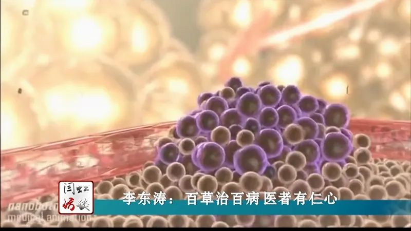 闫虹访谈李老师,闫虹访谈一二三四