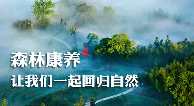 农村带货致富新方式,带货扶贫增收方法