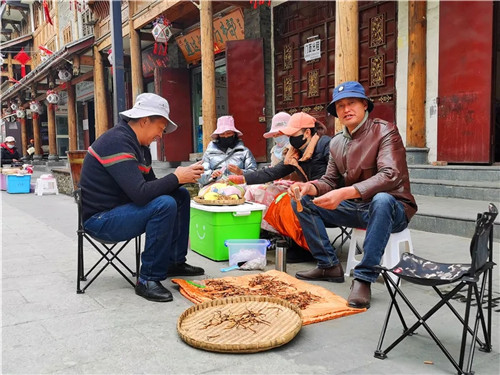松潘县虫草市场,四川虫草网上商城