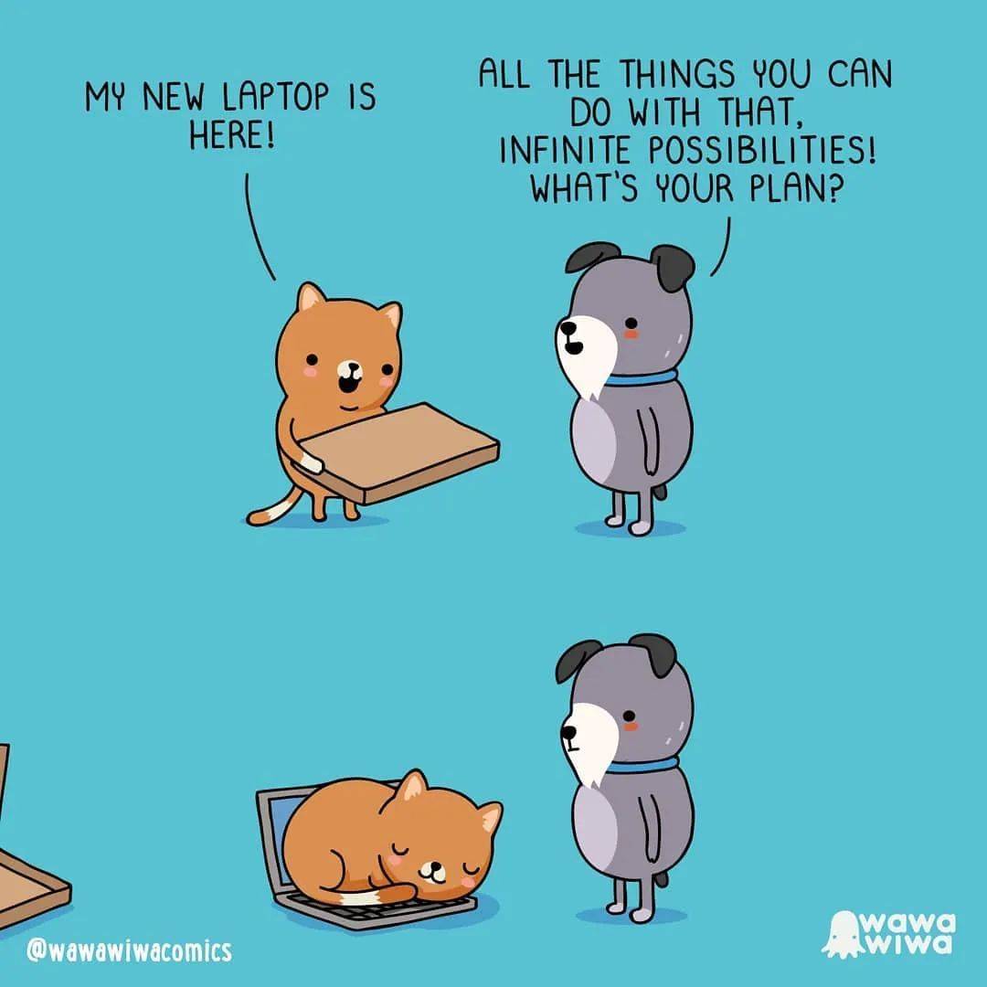 哥伦比亚小夫妻的成年漫画甜哭网友：他们眼中的世界，真美