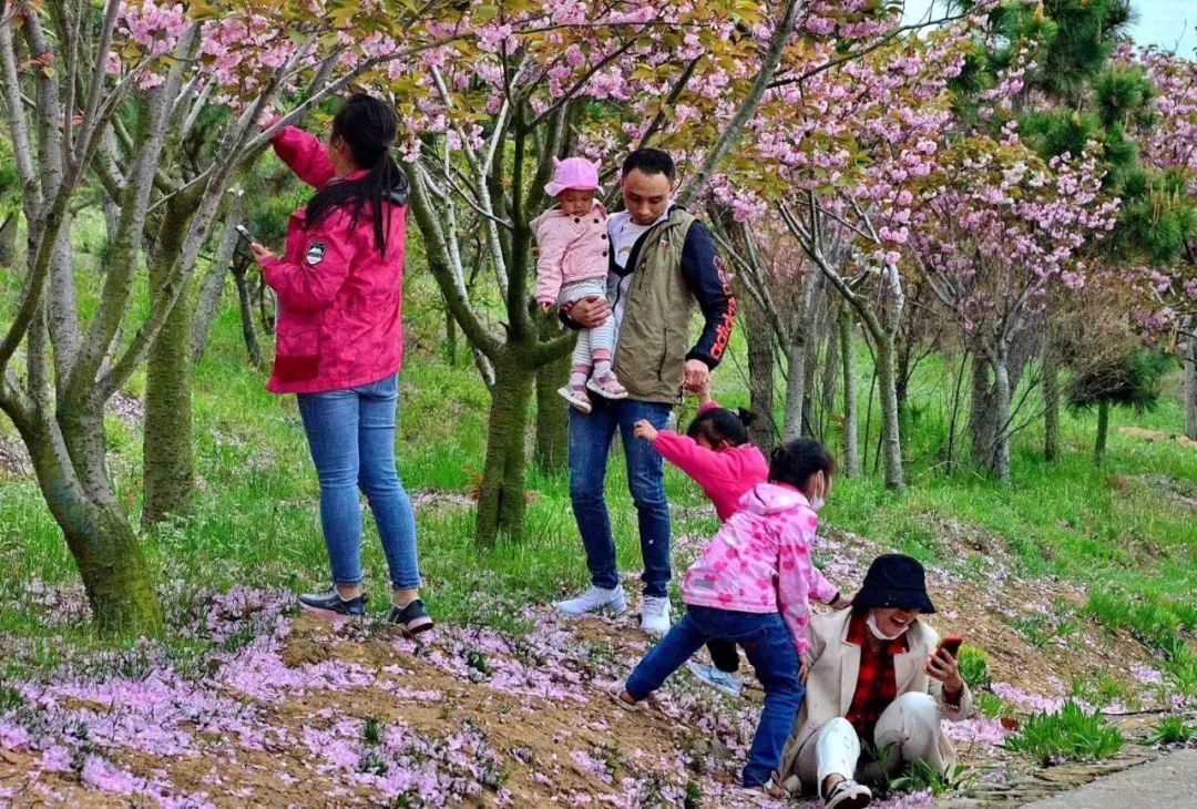 乳山景区开通会员服务,大乳山度假区