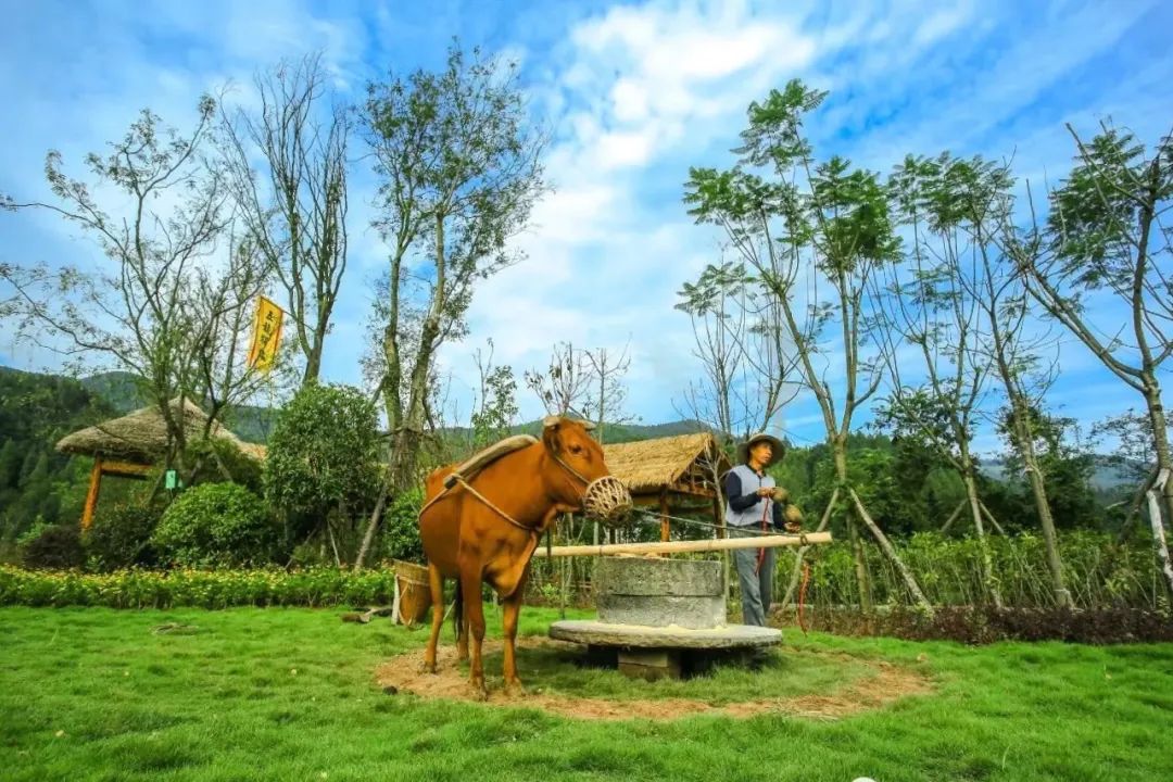 南充纳凉避暑玩水好去处,南充山里天然玩水凉快的地方