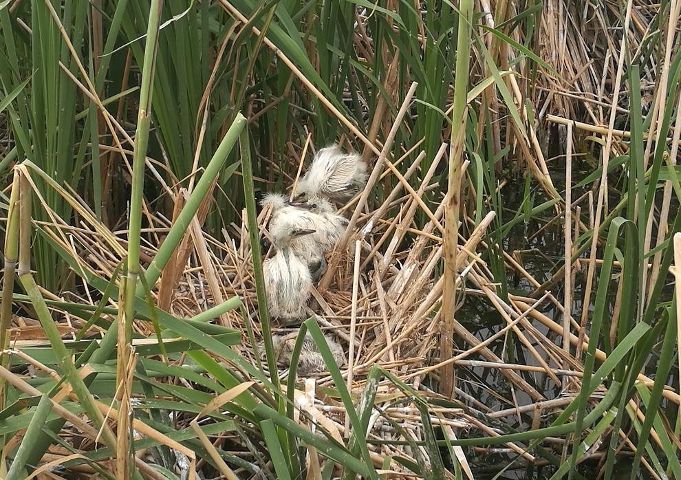 泗洪中考那些事,今日泗洪县大小事
