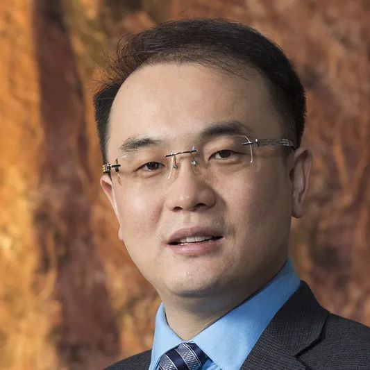 imi报告是什么 (imi报告是啥)