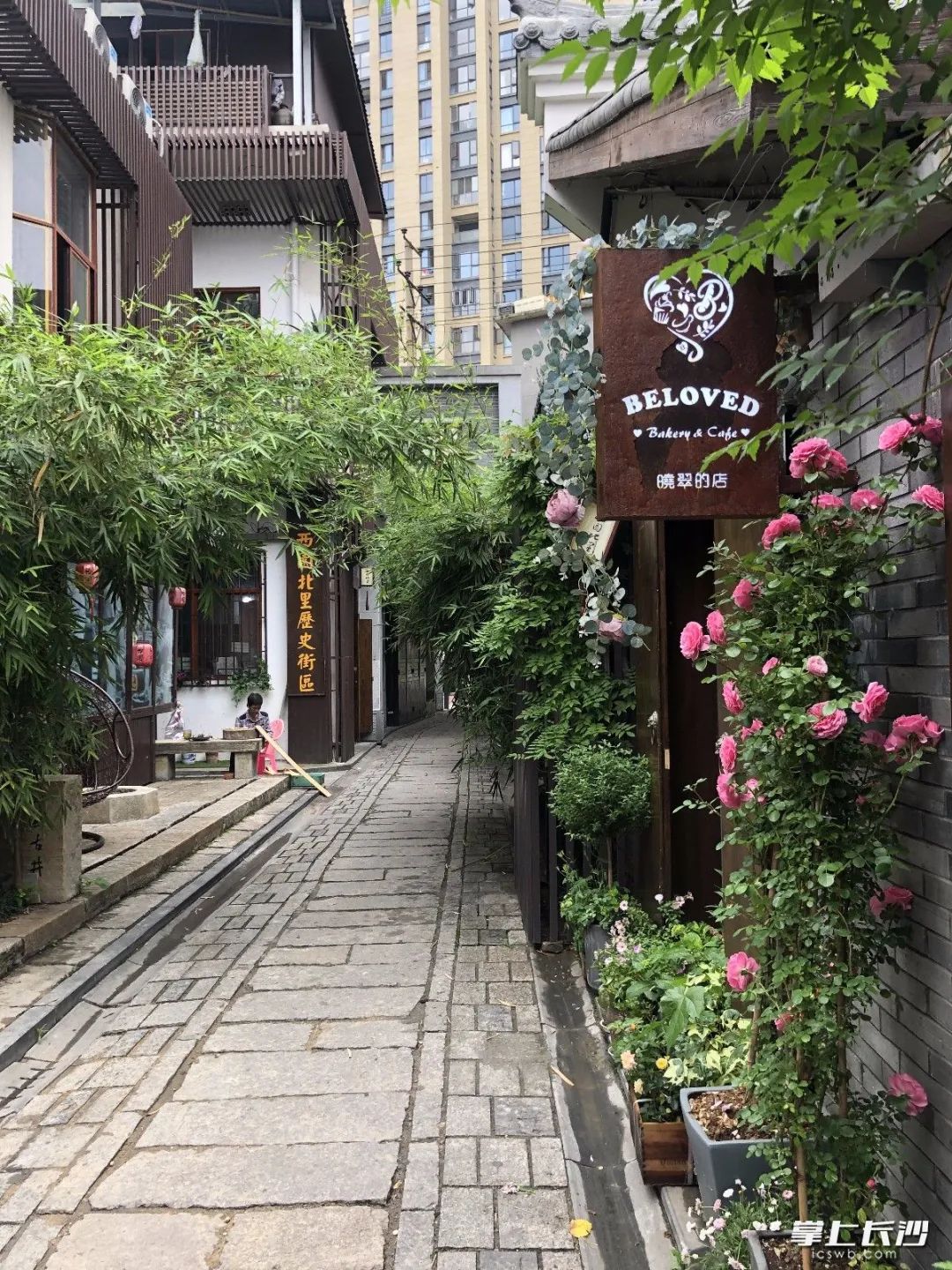 何立伟:收拾金瓯一片——开福老城区记游