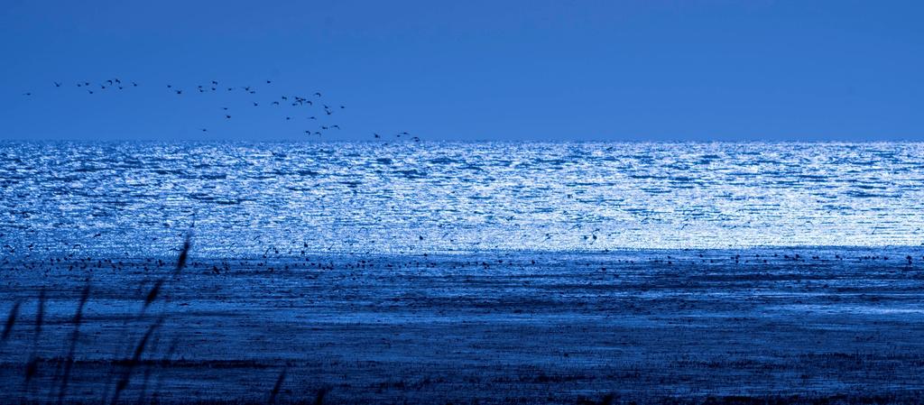 宾得穷人三宝视频,穷人三宝镜头宾得