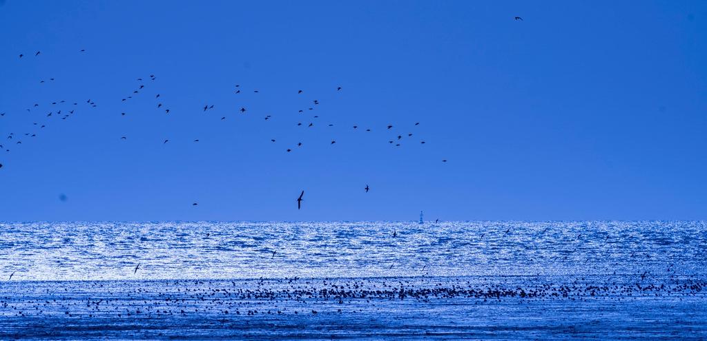 宾得穷人三宝视频,穷人三宝镜头宾得