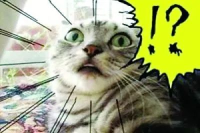 毒品知识秒知道,秒懂百科毒品知识