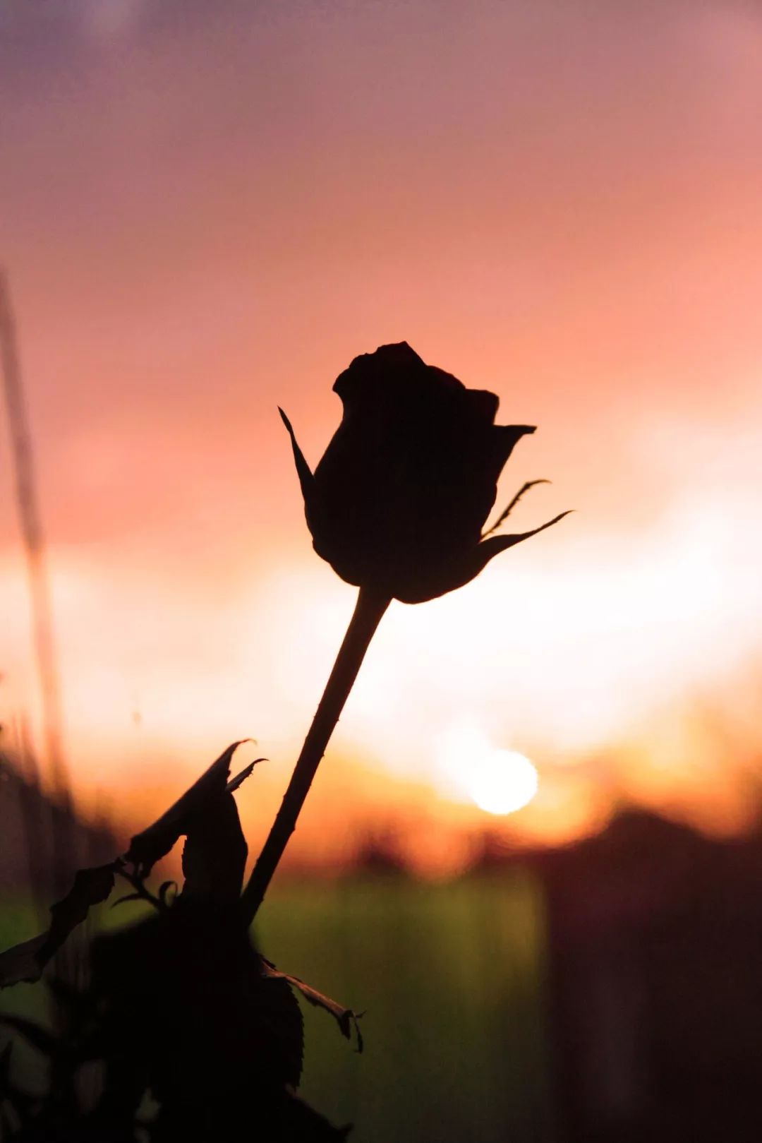 国际家庭日也叫世界家庭日吗,讲解国际家庭日的由来简报