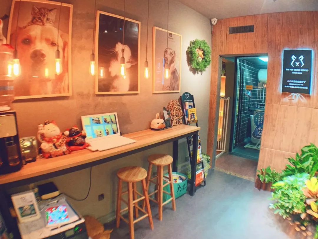 网友吸猫撸狗,吸猫撸狗的地方