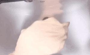 这*裤内**舒服抗菌，少买一件衣服也要换上（大牌同厂，男女都有，价格只要1/3！）