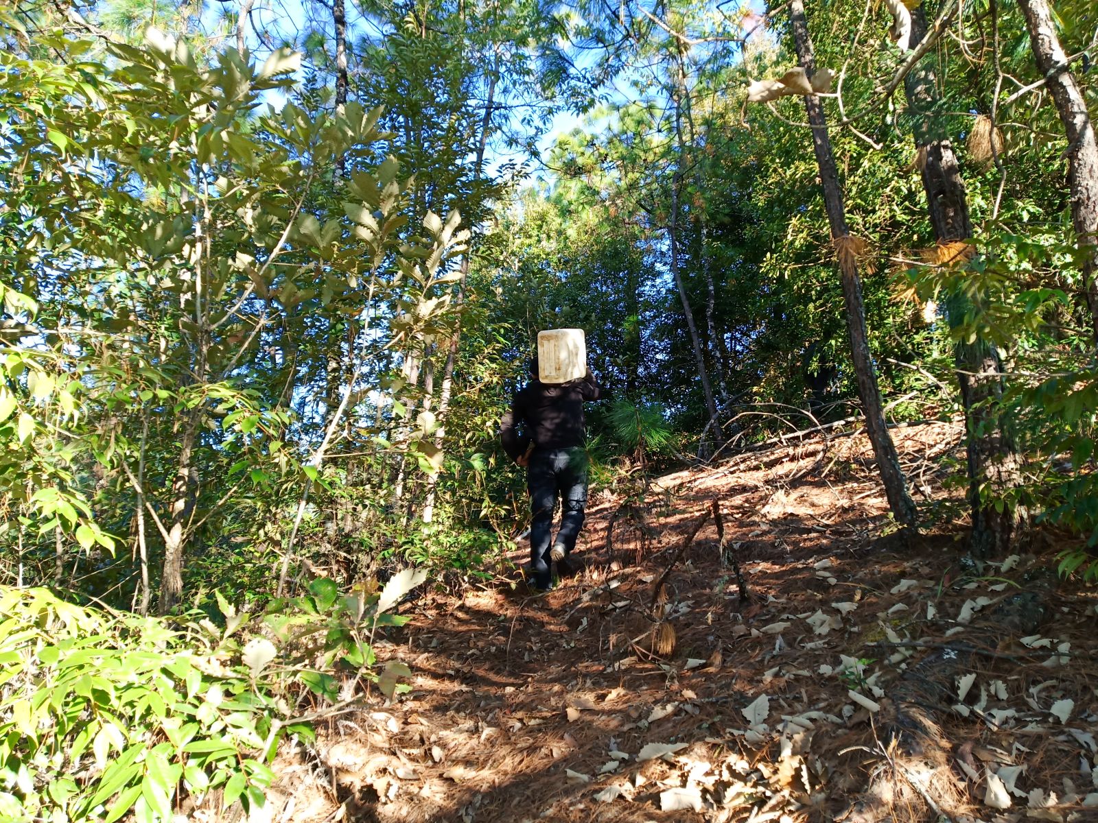 温暖保山:绰号叫“憨巴”,但是我的二叔一点都不憨