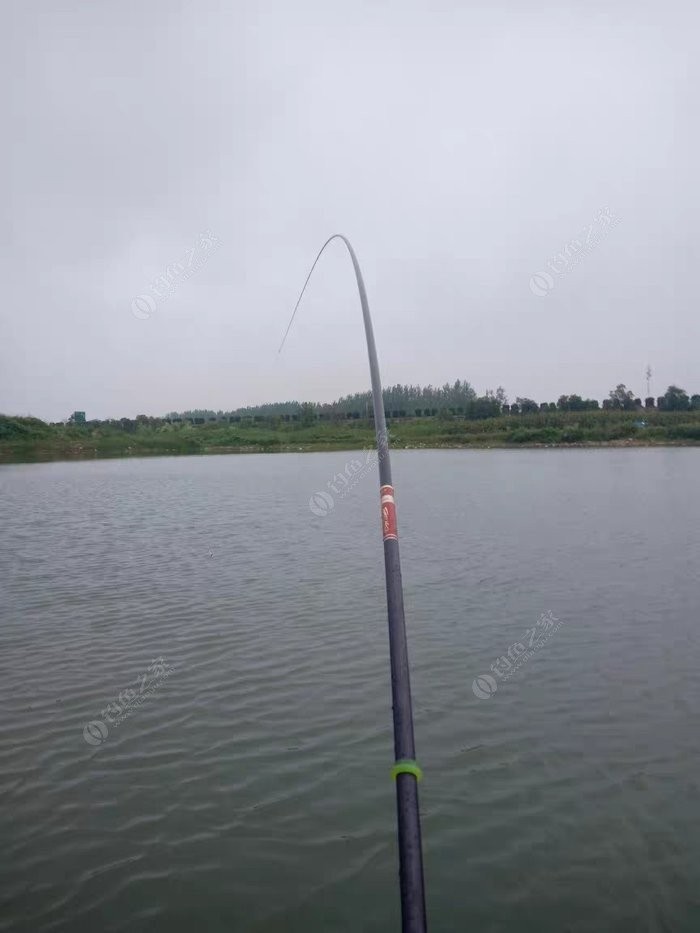 上鱼是什么体验,上鱼必备品榜单是什么意思