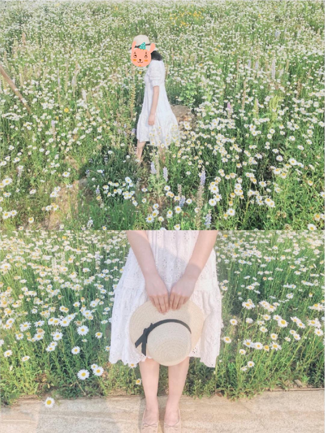 成都五个打卡地,成都5月打卡