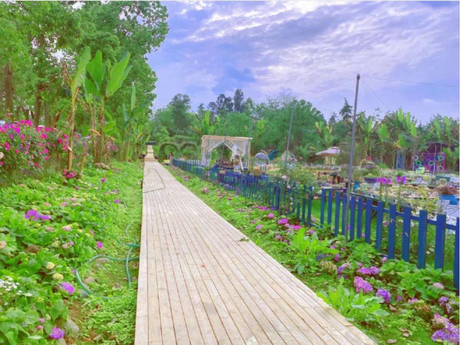 成都五个打卡地,成都5月打卡