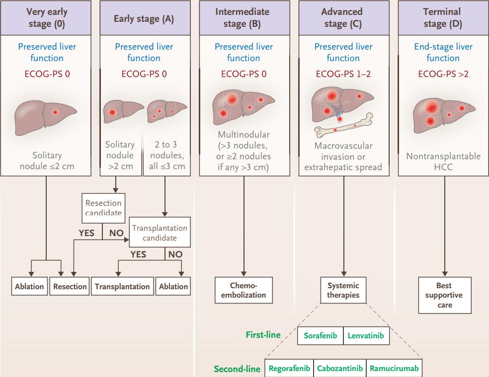 nejm新进展,nejm新药临床治疗