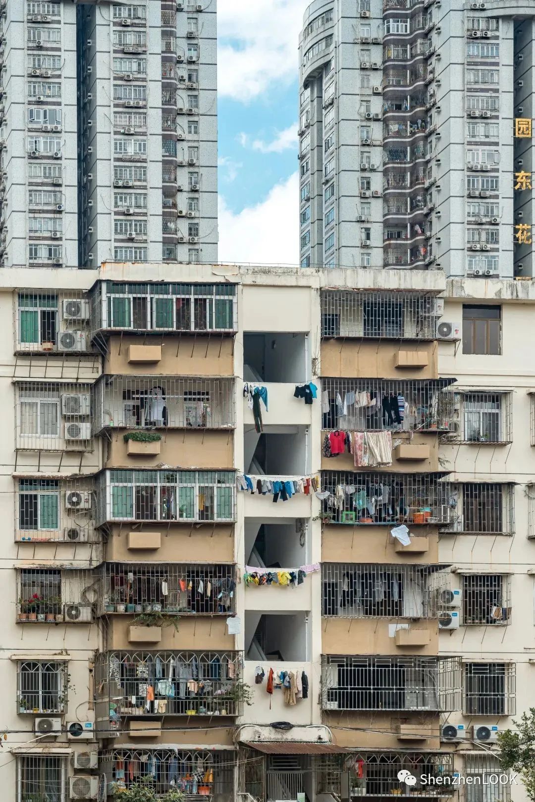 LOOK|这，就是园岭