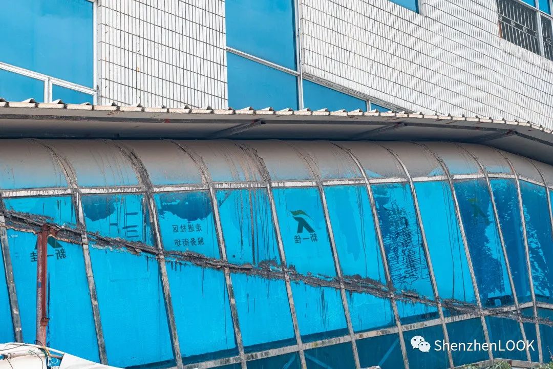 LOOK|这，就是园岭