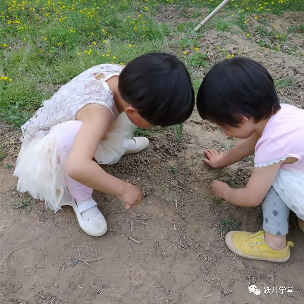 妈妈,我们为什么要吃牛肉,牛会不会疼?