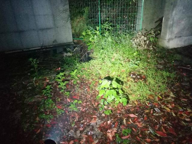 奈特科尔强光10000流明,奈特科尔4000流明手电筒