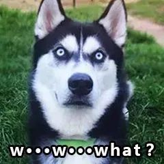 认不全这些字母，不算中国好股民