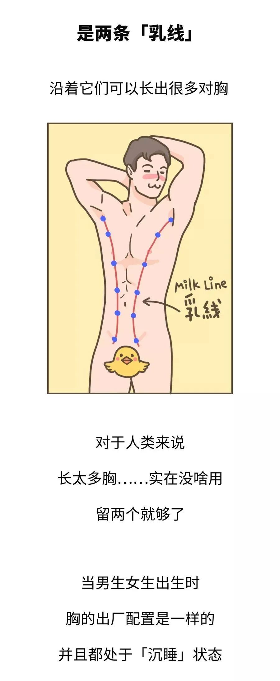 有一个胸大的老公，是一种什么样的体验？