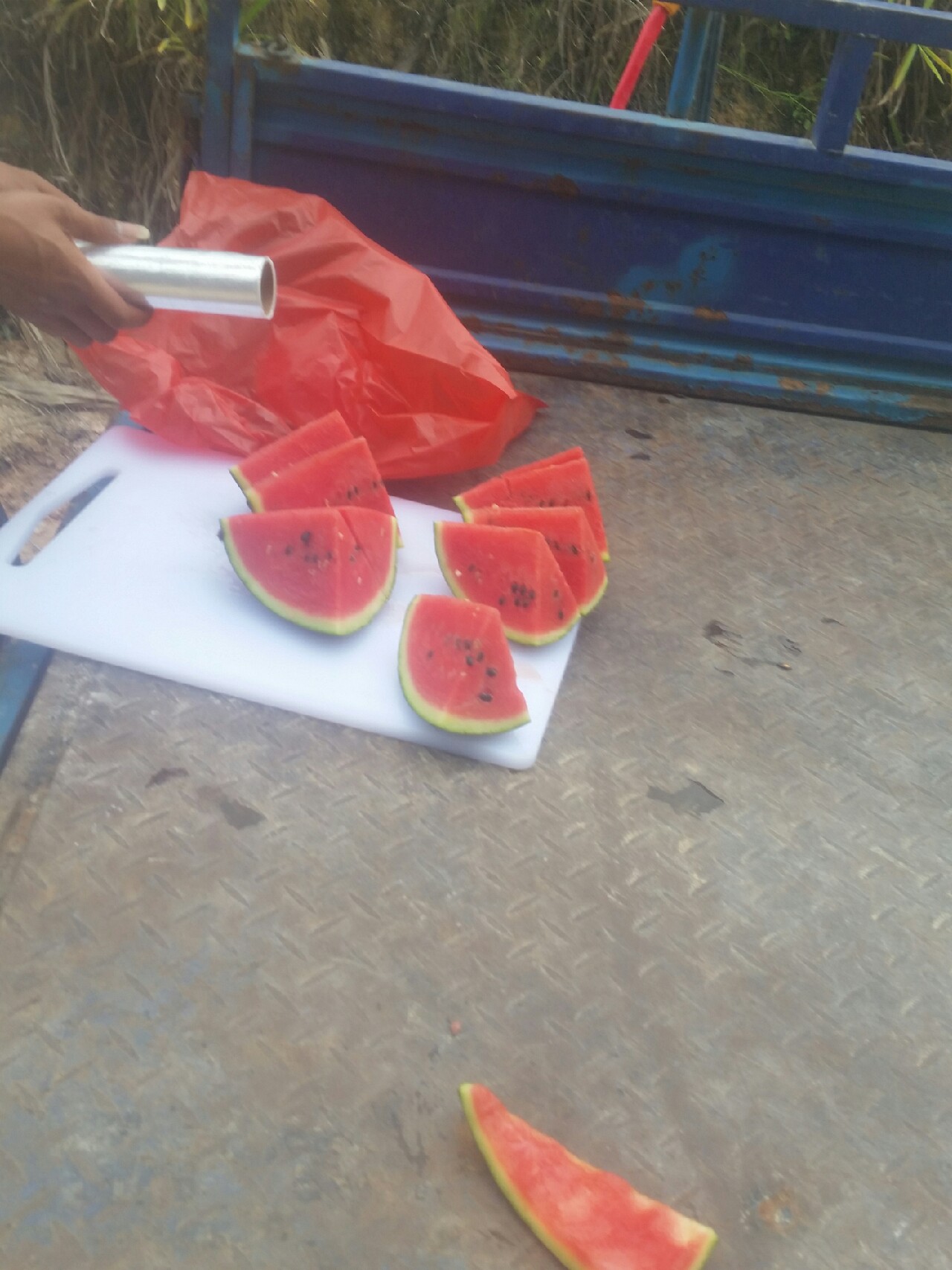 喜欢你！515狂拉不断！探钓永春红五一水库