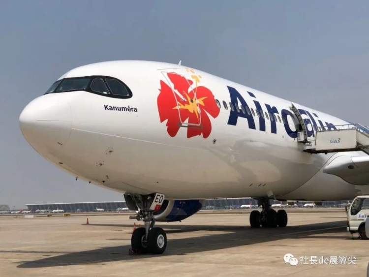 最好看尾巴的航司也来了！法国这些“国内线”了解下|航空工作室