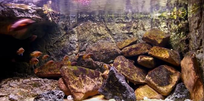 坦干喀伊湖纪录片全集,坦干伊喀湖图片