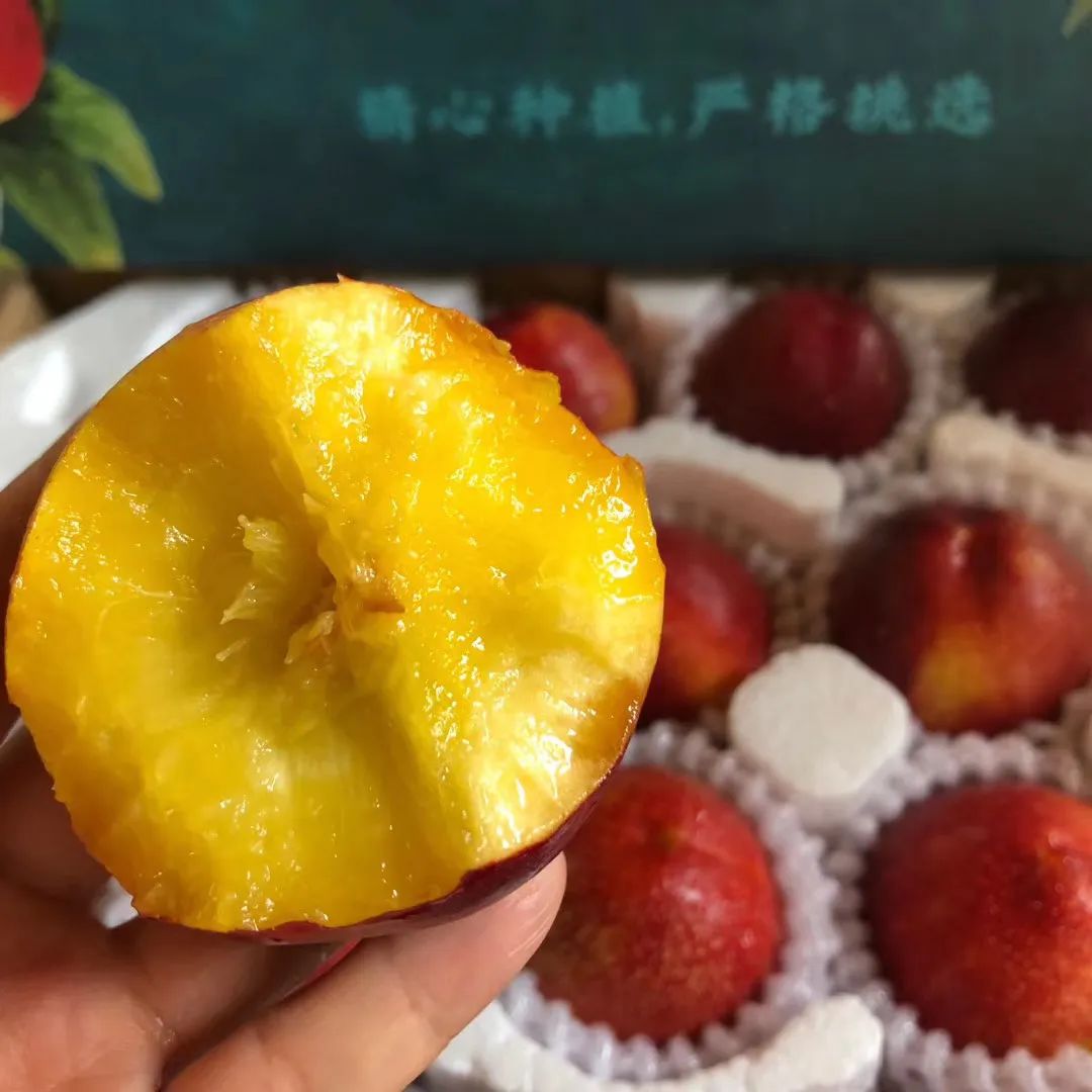 油桃汁水,黄心油桃5斤应季大桃子